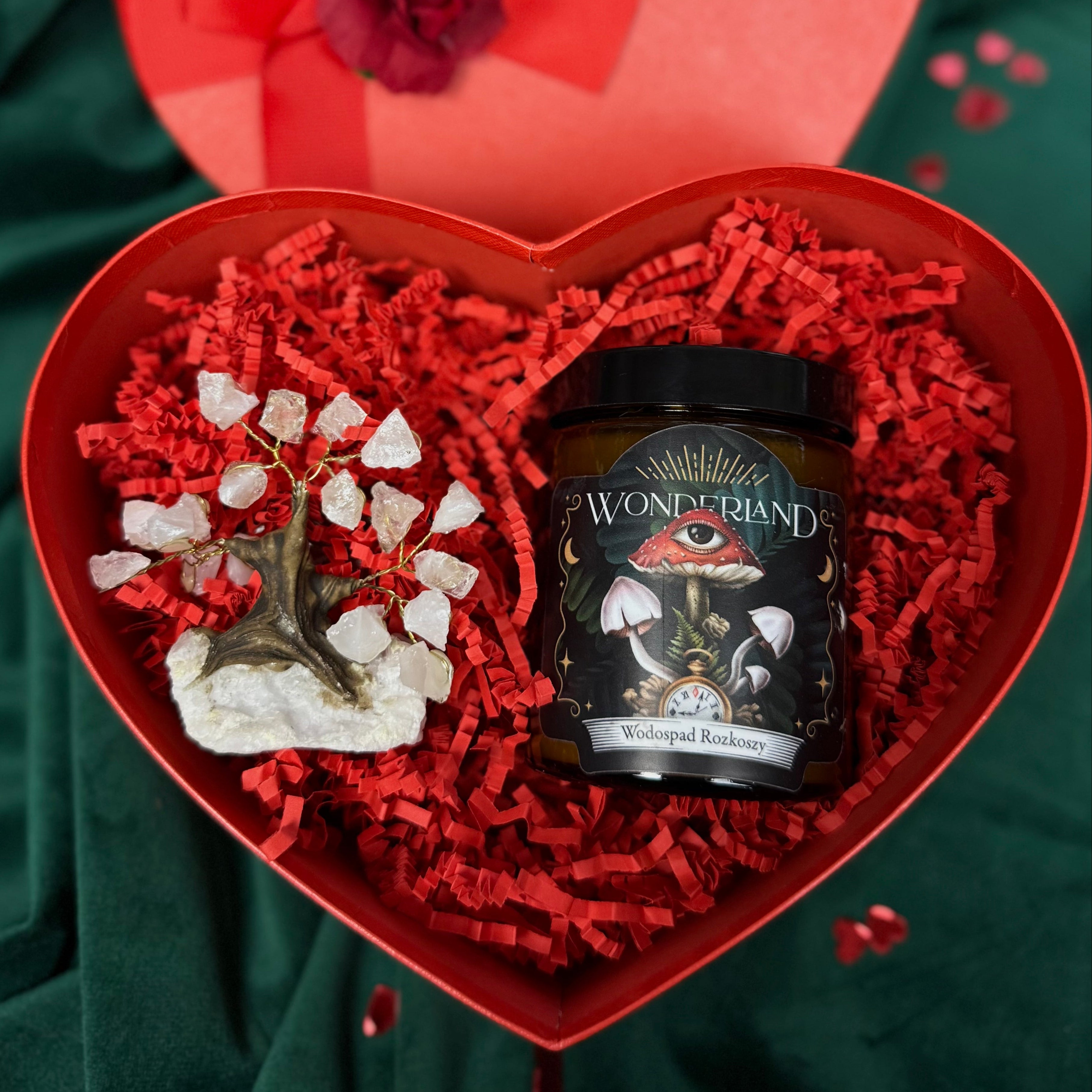 Zestaw MMOONN OCZYSZCZENIE